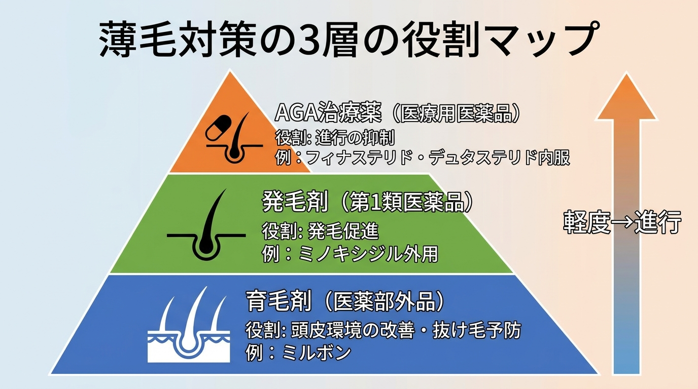 タイトル: 薄毛対策の3層の役割マップ。縦並び3段のピラミッド図で、各段にラベルと役割を表示。1段目（土台・青）: 育毛剤（医薬部外品）／役割: 頭皮環境の改善・抜け毛予防／例: ミルボン。2段目（中段・緑）: 発毛剤（第1類医薬品）／役割: 発毛促進／例: ミノキシジル外用。3段目（頂点・オレンジ）: AGA治療薬（医療用医薬品）／役割: 進行の抑制／例: フィナステリド・デュタステリド内服。右側に矢印で『軽度→進行』の段階を示す