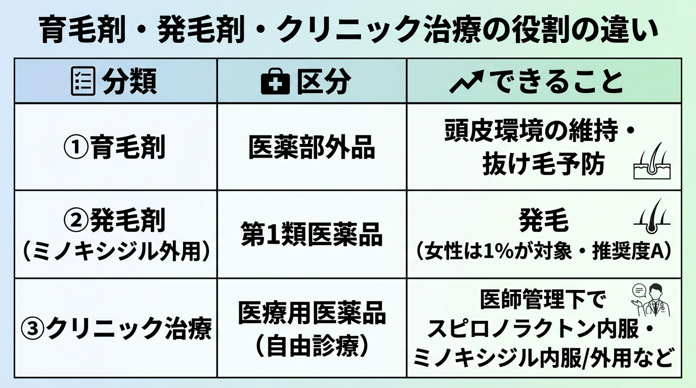 タイトル: 育毛剤・発毛剤・クリニック治療の役割の違い。3列の表: ヘッダー行: 分類 | 区分 | できること。行1: 育毛剤 | 医薬部外品 | 頭皮環境の維持・抜け毛予防。行2: 発毛剤(ミノキシジル外用) | 第1類医薬品 | 発毛(女性は1%が対象・推奨度A)。行3: クリニック治療 | 医療用医薬品(自由診療) | 医師管理下でスピロノラクトン内服・ミノキシジル内服/外用など