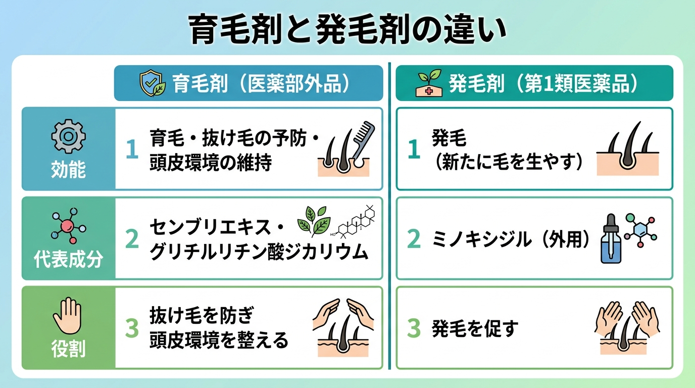 タイトル: 育毛剤と発毛剤の違い。2列の比較表: ヘッダー行: 育毛剤（医薬部外品） | 発毛剤（第1類医薬品）。行1 効能: 育毛・抜け毛の予防・頭皮環境の維持 | 発毛（新たに毛を生やす）。行2 代表成分: センブリエキス・グリチルリチン酸ジカリウム | ミノキシジル（外用）。行3 役割: 抜け毛を防ぎ頭皮環境を整える | 発毛を促す。