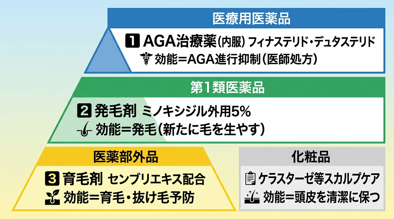 タイトル: 薄毛対策の3層マップ。縦3段のピラミッド図で上から順に: 最上段（医療用医薬品・青）AGA治療薬（内服）フィナステリド・デュタステリド、効能=AGA進行抑制（医師処方）。中段（第1類医薬品・緑）発毛剤 ミノキシジル外用5%、効能=発毛（新たに毛を生やす）。下段（医薬部外品・黄）育毛剤 センブリエキス配合、効能=育毛・抜け毛予防。ピラミッドの外側（化粧品・グレー）にケラスターゼ等スカルプケア、効能=頭皮を清潔に保つと注記