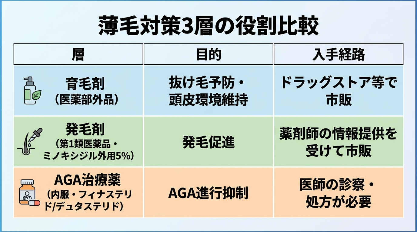 タイトル: 薄毛対策3層の役割比較。3列の表: ヘッダー行: 層 | 目的 | 入手経路。行1: 育毛剤（医薬部外品）| 抜け毛予防・頭皮環境維持 | ドラッグストア等で市販。行2: 発毛剤（第1類医薬品・ミノキシジル外用5%）| 発毛促進 | 薬剤師の情報提供を受けて市販。行3: AGA治療薬（内服・フィナステリド/デュタステリド）| AGA進行抑制 | 医師の診察・処方が必要