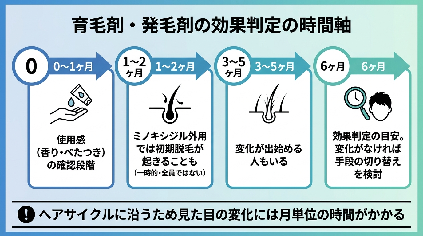 タイトル: 育毛剤・発毛剤の効果判定の時間軸。横向きのタイムライン: 0〜1ヶ月「使用感（香り・べたつき）の確認段階」→ 1〜2ヶ月「ミノキシジル外用では初期脱毛が起きることも（一時的・全員ではない）」→ 3〜5ヶ月「変化が出始める人もいる」→ 6ヶ月「効果判定の目安。変化がなければ手段の切り替えを検討」。下部に注記: ヘアサイクルに沿うため見た目の変化には月単位の時間がかかる