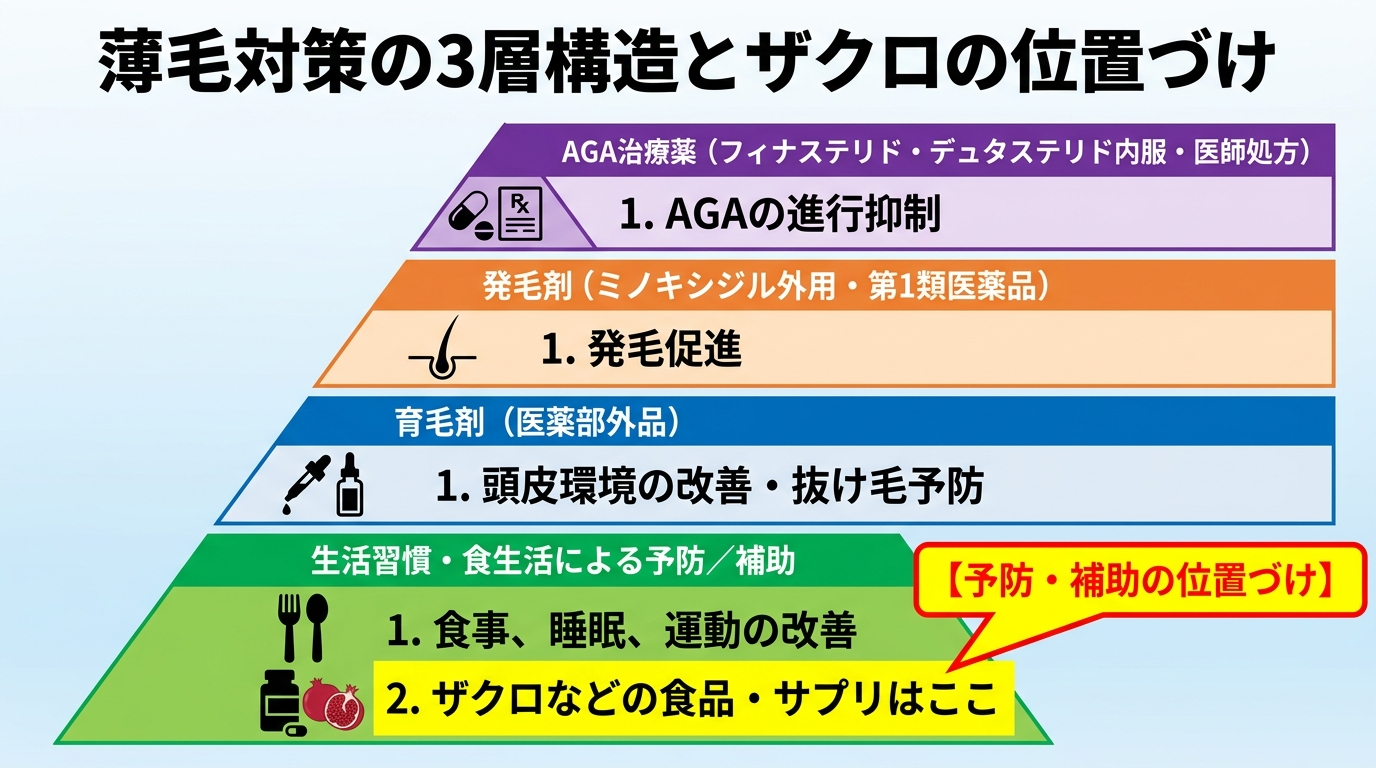 タイトル: 薄毛対策の3層構造とザクロの位置づけ。縦4段のピラミッド図。最下段（土台・予防レイヤー）: 生活習慣・食生活による予防／補助（ザクロなどの食品・サプリはここ）。第2段: 育毛剤（医薬部外品）＝頭皮環境の改善・抜け毛予防。第3段: 発毛剤（ミノキシジル外用・第1類医薬品）＝発毛促進。最上段: AGA治療薬（フィナステリド・デュタステリド内服・医師処方）＝AGAの進行抑制。ザクロは最下段にハイライト表示し『予防・補助の位置づけ』と注記