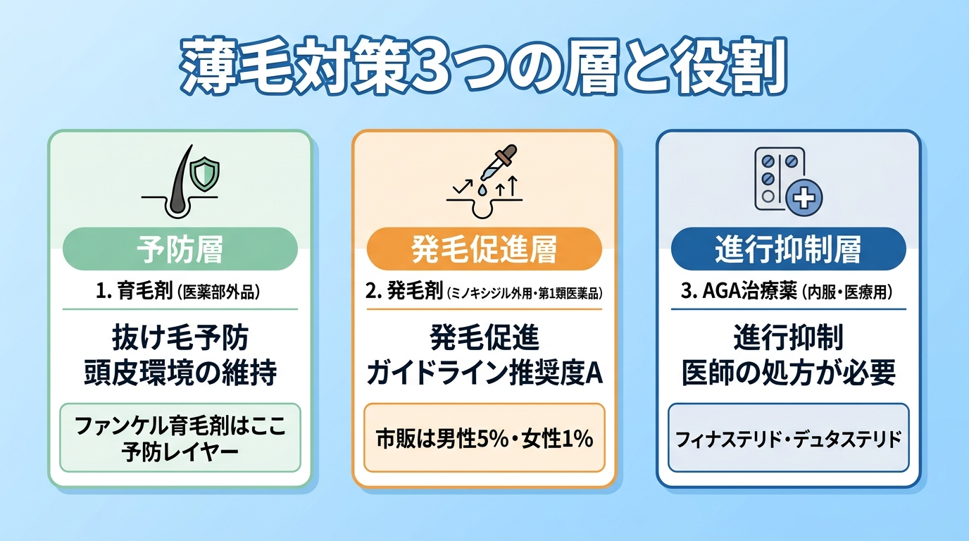 タイトル: 薄毛対策3つの層と役割。縦並び3カードで: カード1（頭皮ケアのアイコン）ヘッダー: 育毛剤（医薬部外品）、説明: 抜け毛予防・頭皮環境の維持。ファンケル育毛剤はここ。予防レイヤー。カード2（ボトルのアイコン）ヘッダー: 発毛剤（ミノキシジル外用・第1類医薬品）、説明: 発毛促進。市販は男性5%・女性1%。ガイドライン推奨度A。カード3（錠剤のアイコン）ヘッダー: AGA治療薬（内服・医療用）、説明: 進行抑制。フィナステリド・デュタステリド。医師の処方が必要