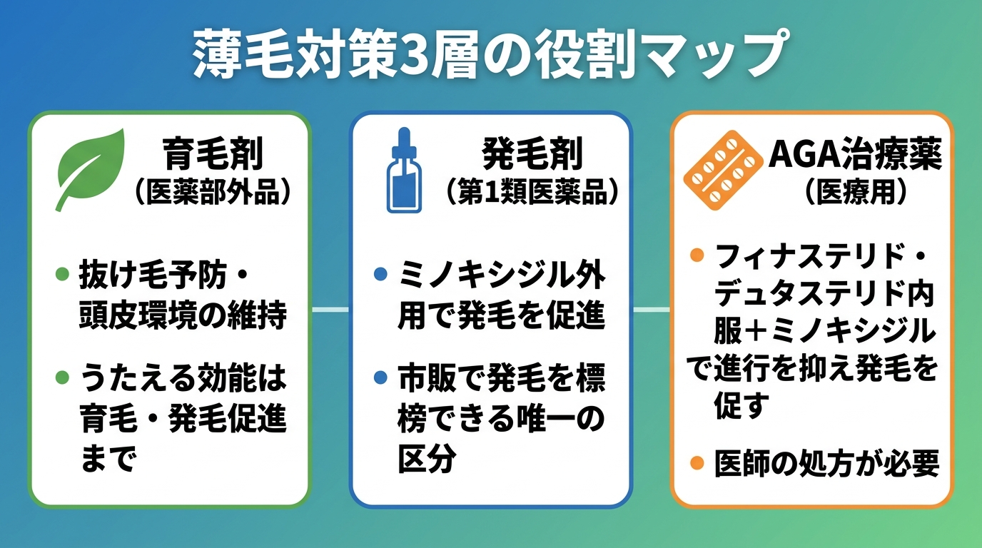 タイトル: 薄毛対策3層の役割マップ。横並び3カードで: カード1（葉のアイコン）ヘッダー: 育毛剤（医薬部外品）、説明: 抜け毛予防・頭皮環境の維持。うたえる効能は育毛・発毛促進まで。カード2（ボトルのアイコン）ヘッダー: 発毛剤（第1類医薬品）、説明: ミノキシジル外用で発毛を促進。市販で発毛を標榜できる唯一の区分。カード3（錠剤のアイコン）ヘッダー: AGA治療薬（医療用）、説明: フィナステリド・デュタステリド内服＋ミノキシジルで進行を抑え発毛を促す。医師の処方が必要