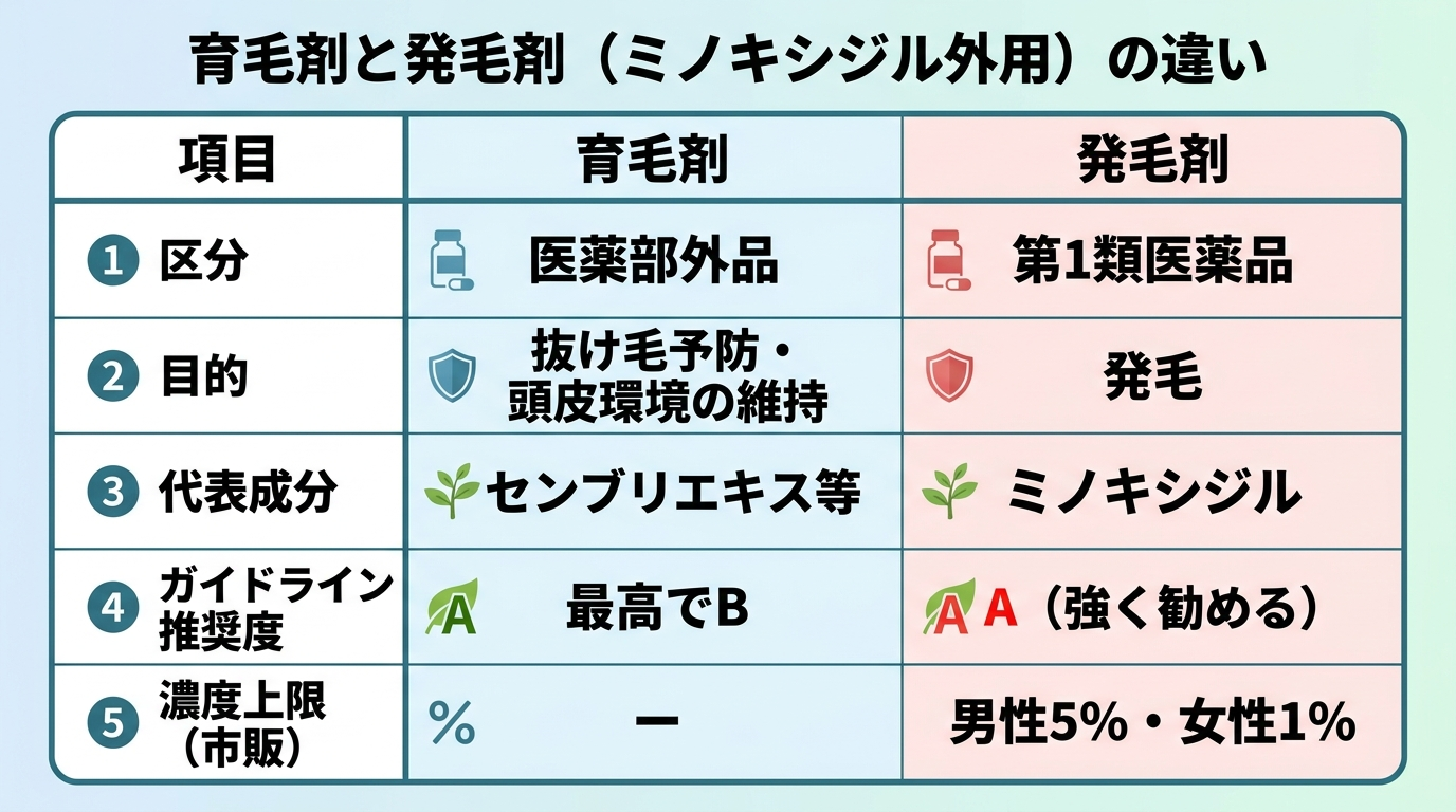 タイトル: 育毛剤と発毛剤（ミノキシジル外用）の違い。2列の比較表。ヘッダー行: 項目 | 育毛剤 | 発毛剤。行1: 区分 | 医薬部外品 | 第1類医薬品。行2: 目的 | 抜け毛予防・頭皮環境の維持 | 発毛。行3: 代表成分 | センブリエキス等 | ミノキシジル。行4: ガイドライン推奨度 | 最高でB | A（強く勧める）。行5: 濃度上限（市販） | ー | 男性5%・女性1%。