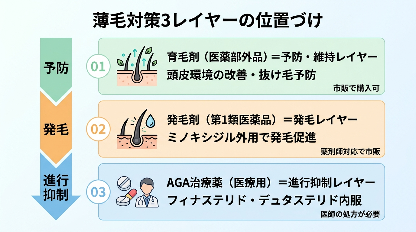 タイトル: 薄毛対策3レイヤーの位置づけ。縦並び3ステップの図: ステップ1(頭皮のアイコン)育毛剤(医薬部外品)=予防・維持レイヤー、頭皮環境の改善・抜け毛予防、市販で購入可。ステップ2(毛根のアイコン)発毛剤(第1類医薬品)=発毛レイヤー、ミノキシジル外用で発毛促進、薬剤師対応で市販。ステップ3(錠剤のアイコン)AGA治療薬(医療用)=進行抑制レイヤー、フィナステリド・デュタステリド内服、医師の処方が必要。左に矢印で「予防」→「発毛」→「進行抑制」と段階を示す