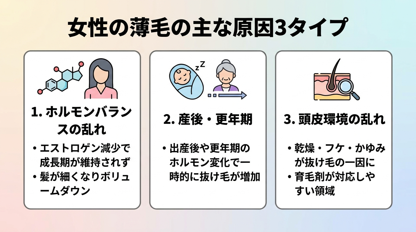 タイトル: 女性の薄毛の主な原因3タイプ。横並び3カードで: カード1(ホルモンのアイコン)ヘッダー: ホルモンバランスの乱れ、説明: エストロゲン減少で成長期が維持されず、髪が細くなりボリュームダウン。カード2(赤ちゃんのアイコン)ヘッダー: 産後・更年期、説明: 出産後や更年期のホルモン変化で一時的に抜け毛が増加。カード3(頭皮のアイコン)ヘッダー: 頭皮環境の乱れ、説明: 乾燥・フケ・かゆみが抜け毛の一因に。育毛剤が対応しやすい領域