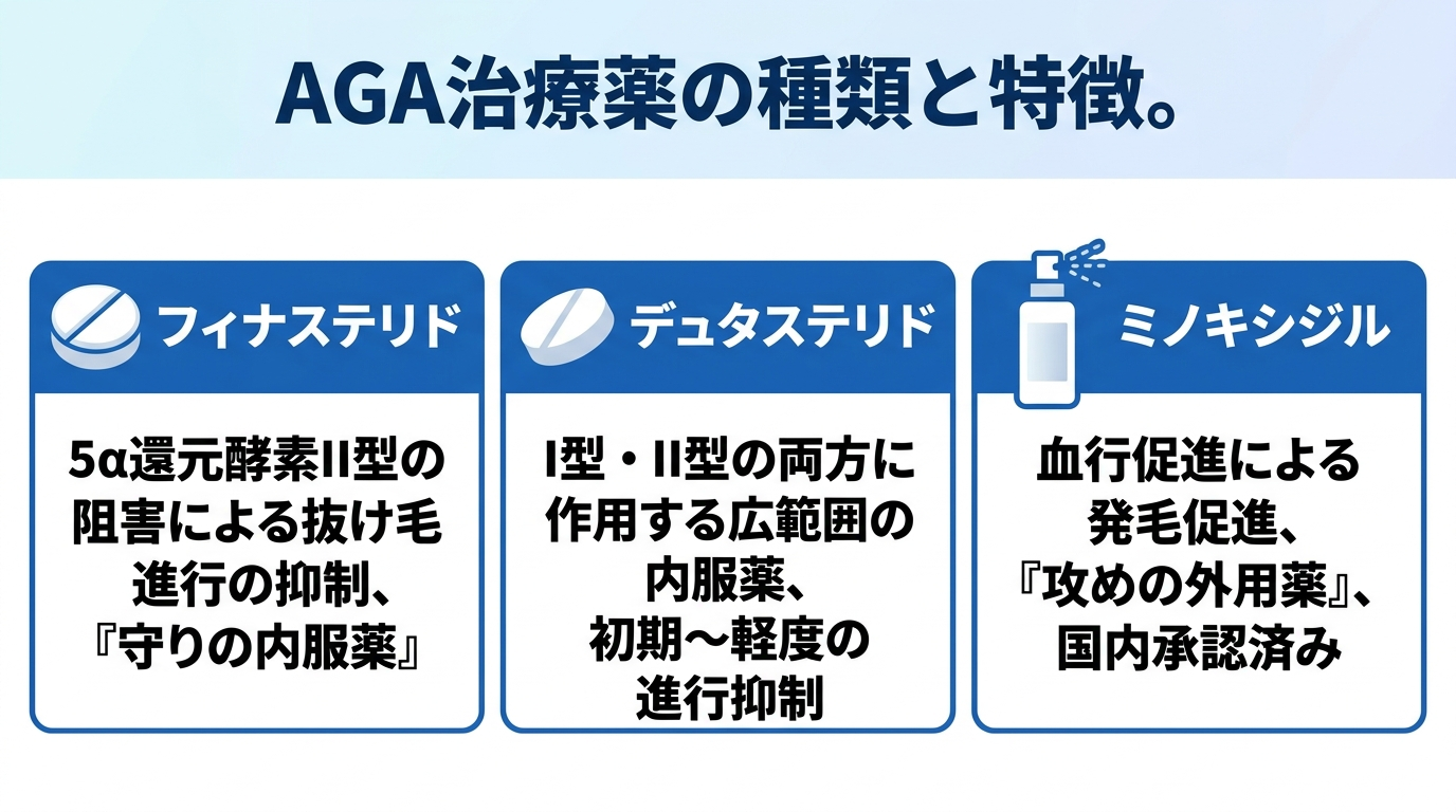 タイトル: AGA治療薬の種類と特徴。横並び3カードで。カード1(錠剤のアイコン)ヘッダー: フィナステリド、説明: DHTの生成に関わる5α還元酵素II型を阻害する内服薬。抜け毛の進行を抑える『守りの薬』。カード2(錠剤のアイコン)ヘッダー: デュタステリド、説明: I型・II型の両方に働くより広く作用する内服薬。初期〜軽度の進行抑制に。カード3(スプレーのアイコン)ヘッダー: ミノキシジル、説明: 血行促進により発毛を促す『攻めの薬』。薄くなった部位に働く。外用薬は国内承認済み