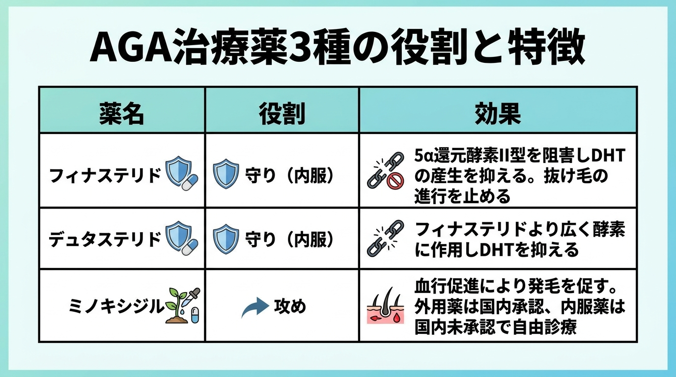 タイトル: AGA治療薬3種の役割と特徴。3列の表: ヘッダー行: 薬名 | 役割 | 効果。行1: フィナステリド | 守り（内服） | 5α還元酵素II型を阻害しDHTの産生を抑える。抜け毛の進行を止める。行2: デュタステリド | 守り（内服） | フィナステリドより広く酵素に作用しDHTを抑える。行3: ミノキシジル | 攻め | 血行促進により発毛を促す。外用薬は国内承認、内服薬は国内未承認で自由診療。