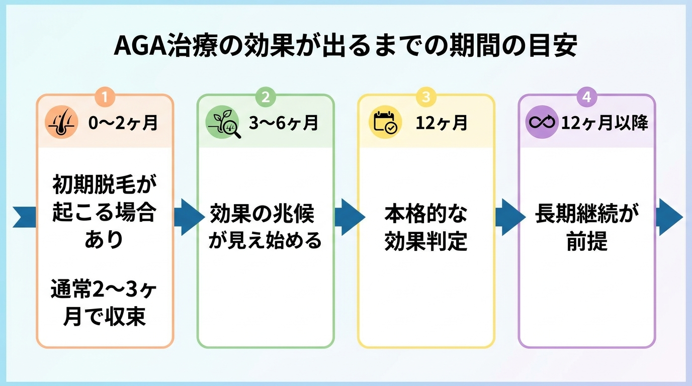 タイトル: AGA治療の効果が出るまでの期間の目安。横向きタイムライン図: 0〜2ヶ月(初期脱毛が起こる場合あり・通常2〜3ヶ月で収束)→ 3〜6ヶ月(効果の兆候が見え始める)→ 12ヶ月(本格的な効果判定)→ 12ヶ月以降(長期継続が前提)。矢印で時間の流れを表現。