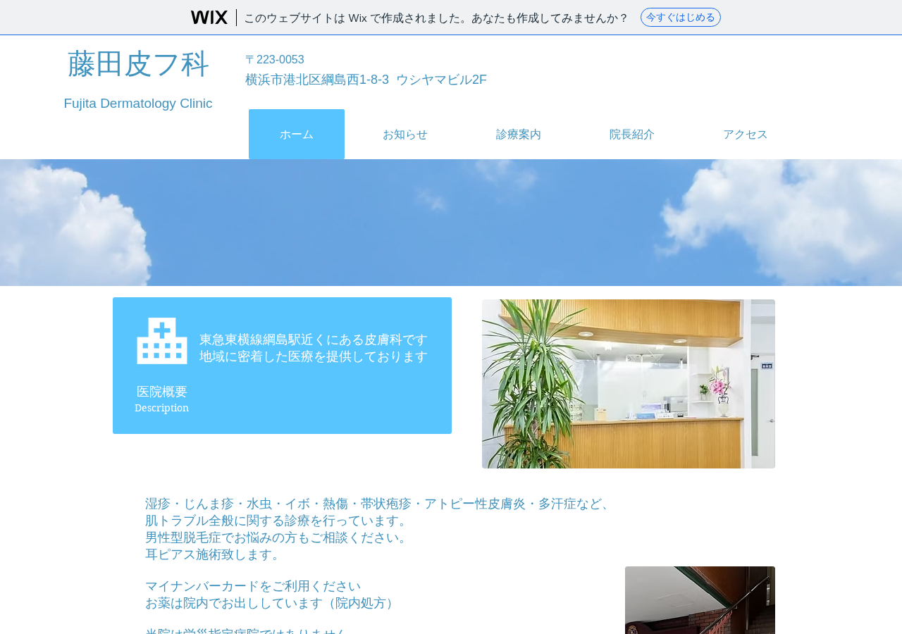 藤田皮フ科 公式サイトTOPページ