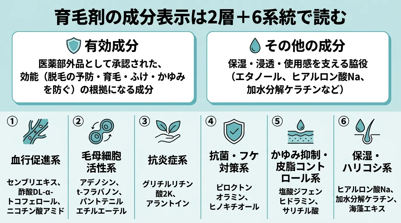 育毛剤の成分表示は2層＋6系統で読む