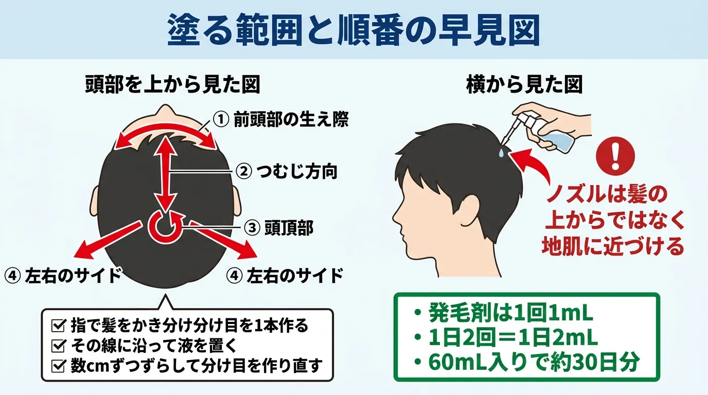 塗る範囲と順番の早見図