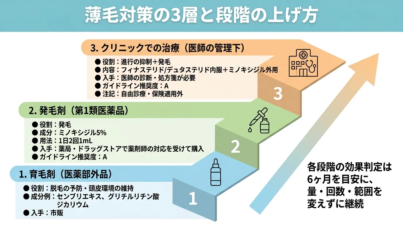 薄毛対策の3層と段階の上げ方