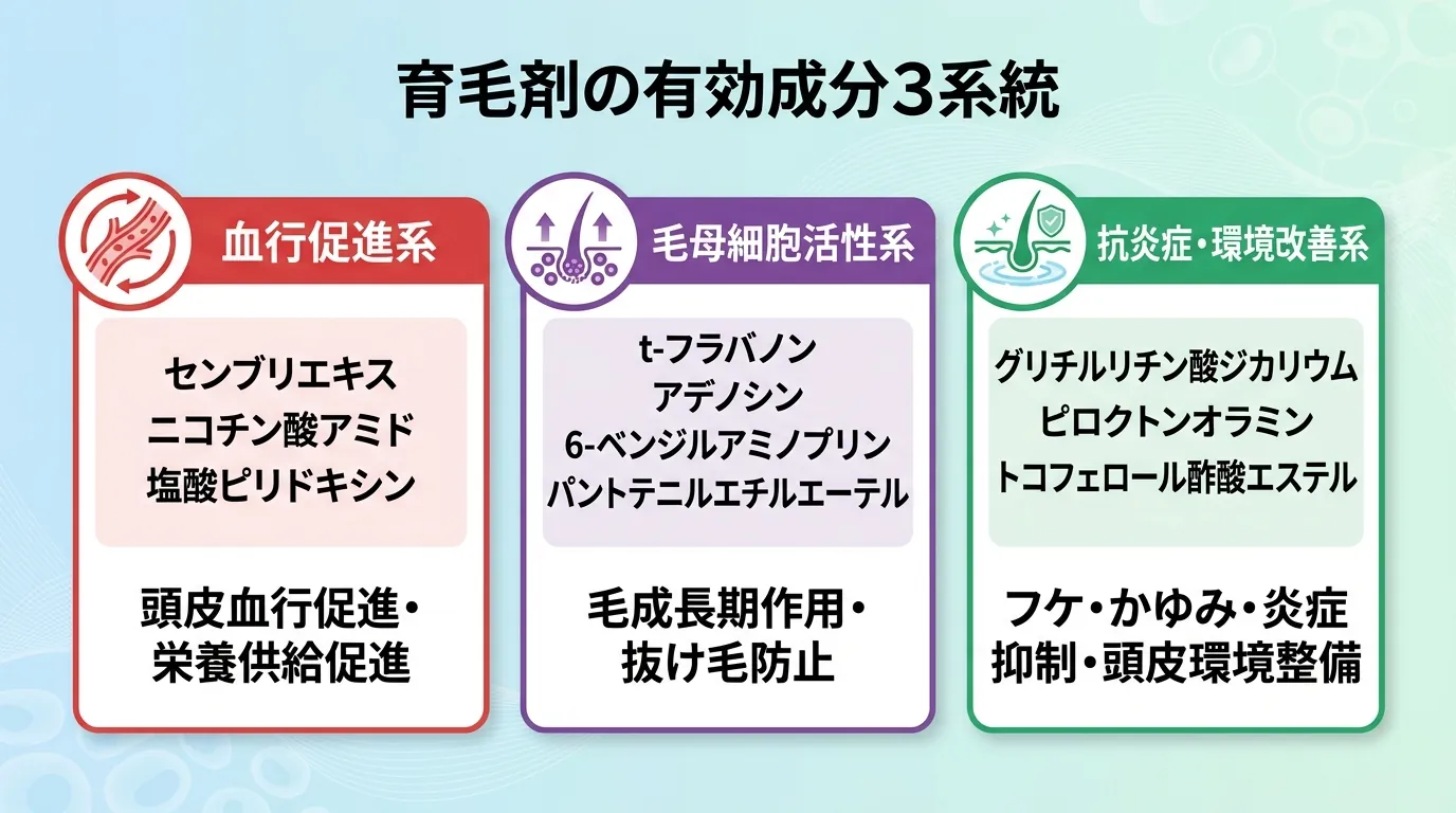 育毛剤の有効成分3系統