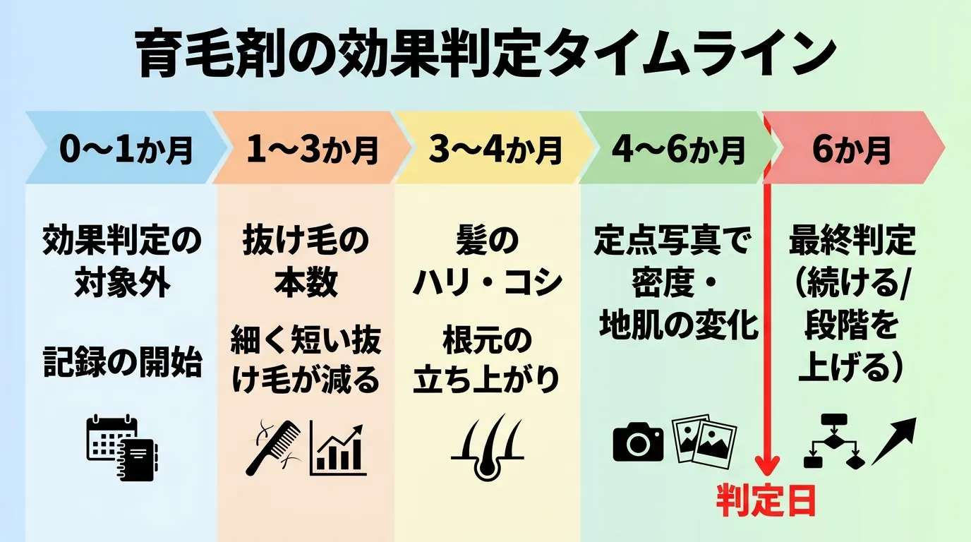育毛剤の効果判定タイムライン