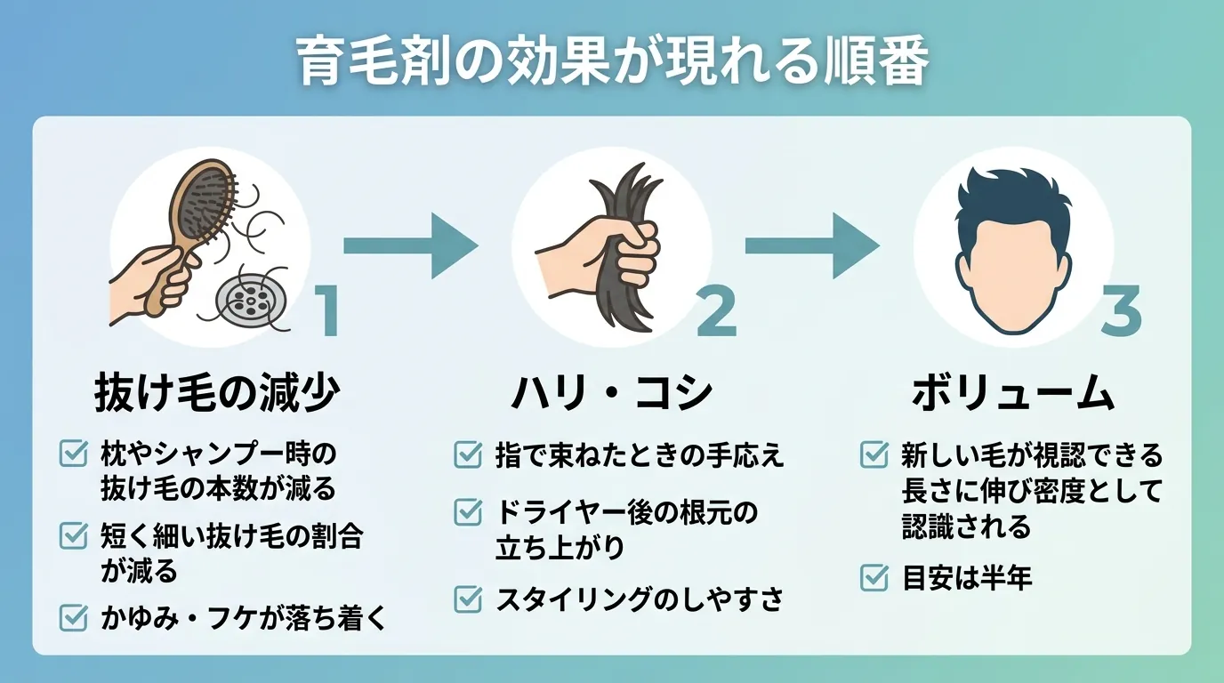 育毛剤の効果が現れる順番
