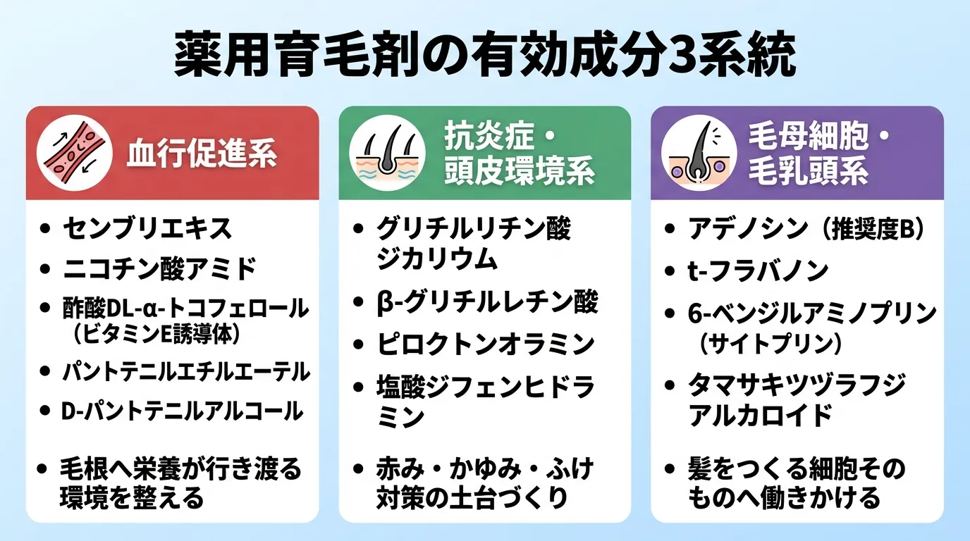 薬用育毛剤の有効成分3系統