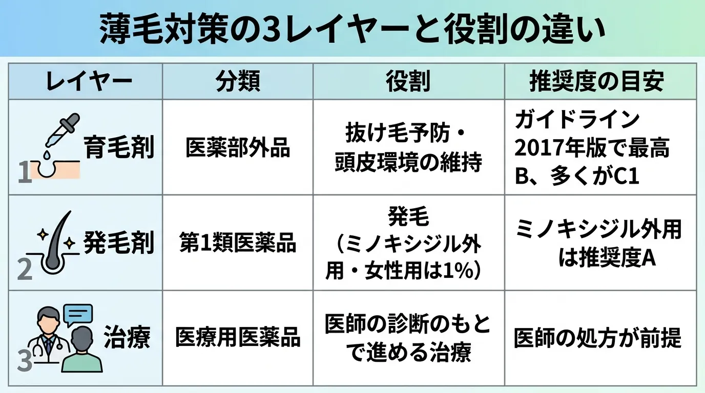 薄毛対策の3レイヤーと役割の違い