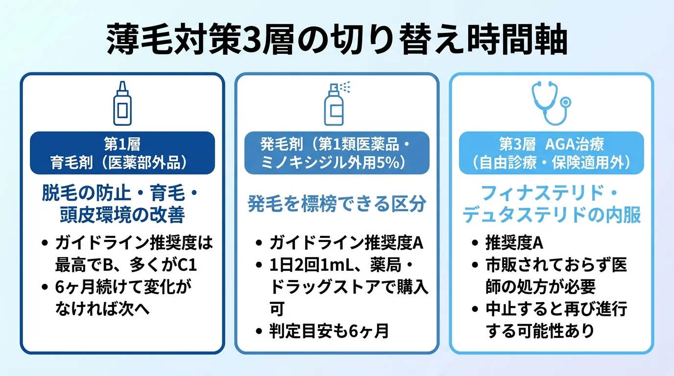 薄毛対策3層の切り替え時間軸
