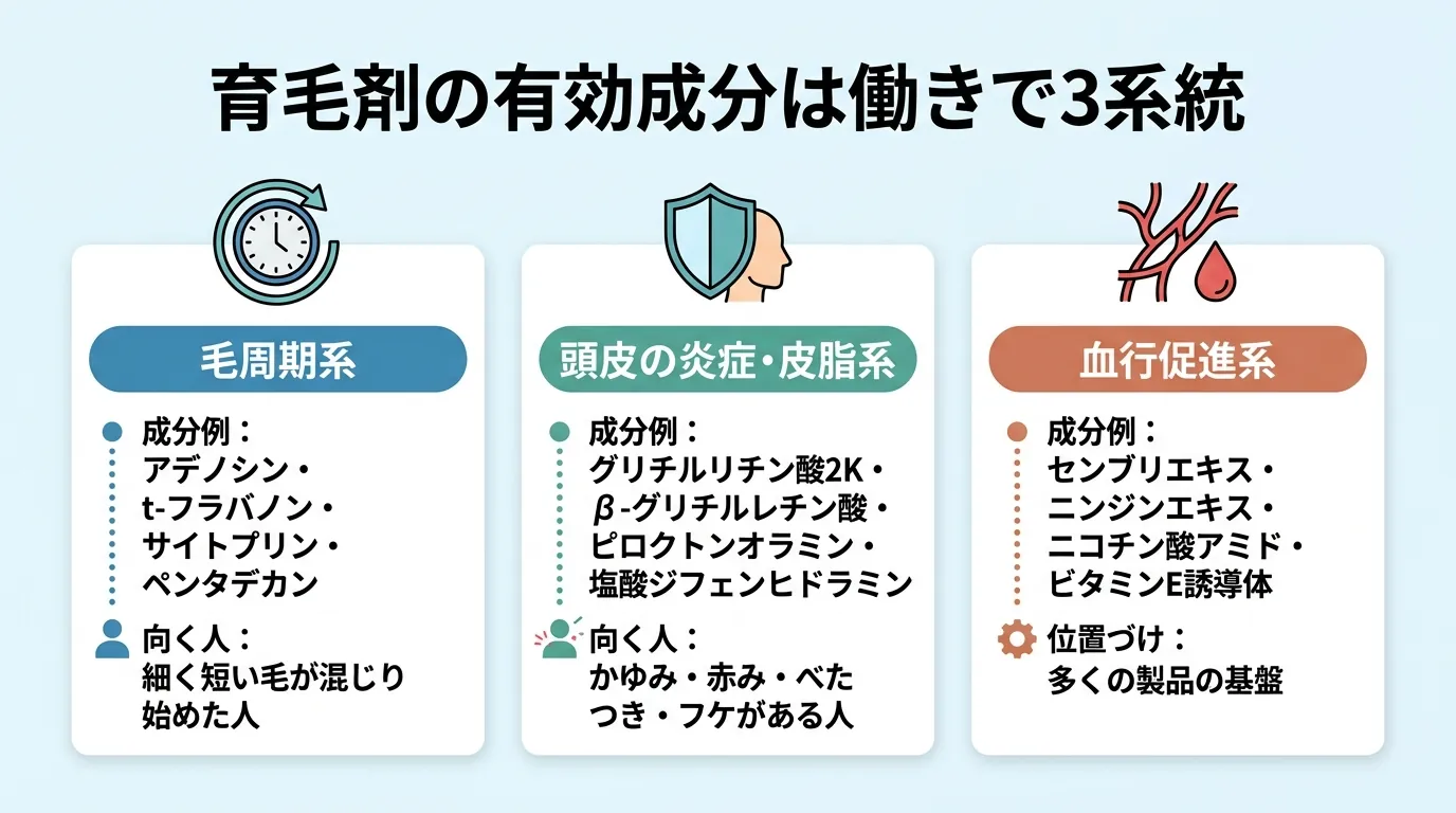 育毛剤の有効成分は働きで3系統