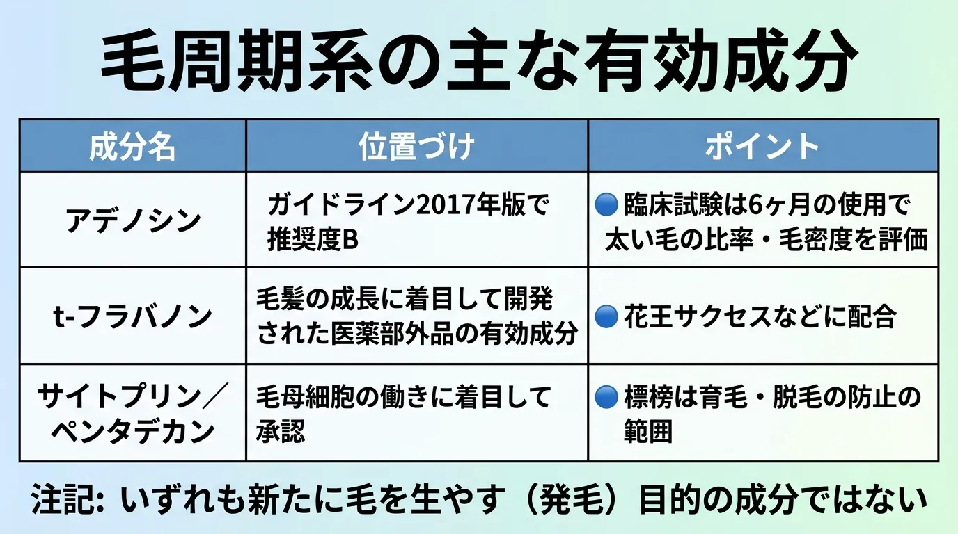 毛周期系の主な有効成分