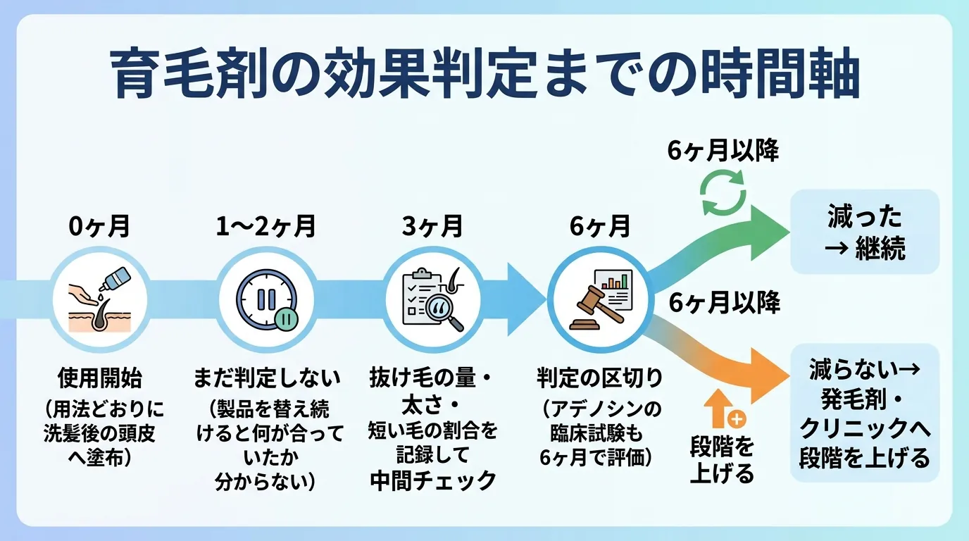 育毛剤の効果判定までの時間軸