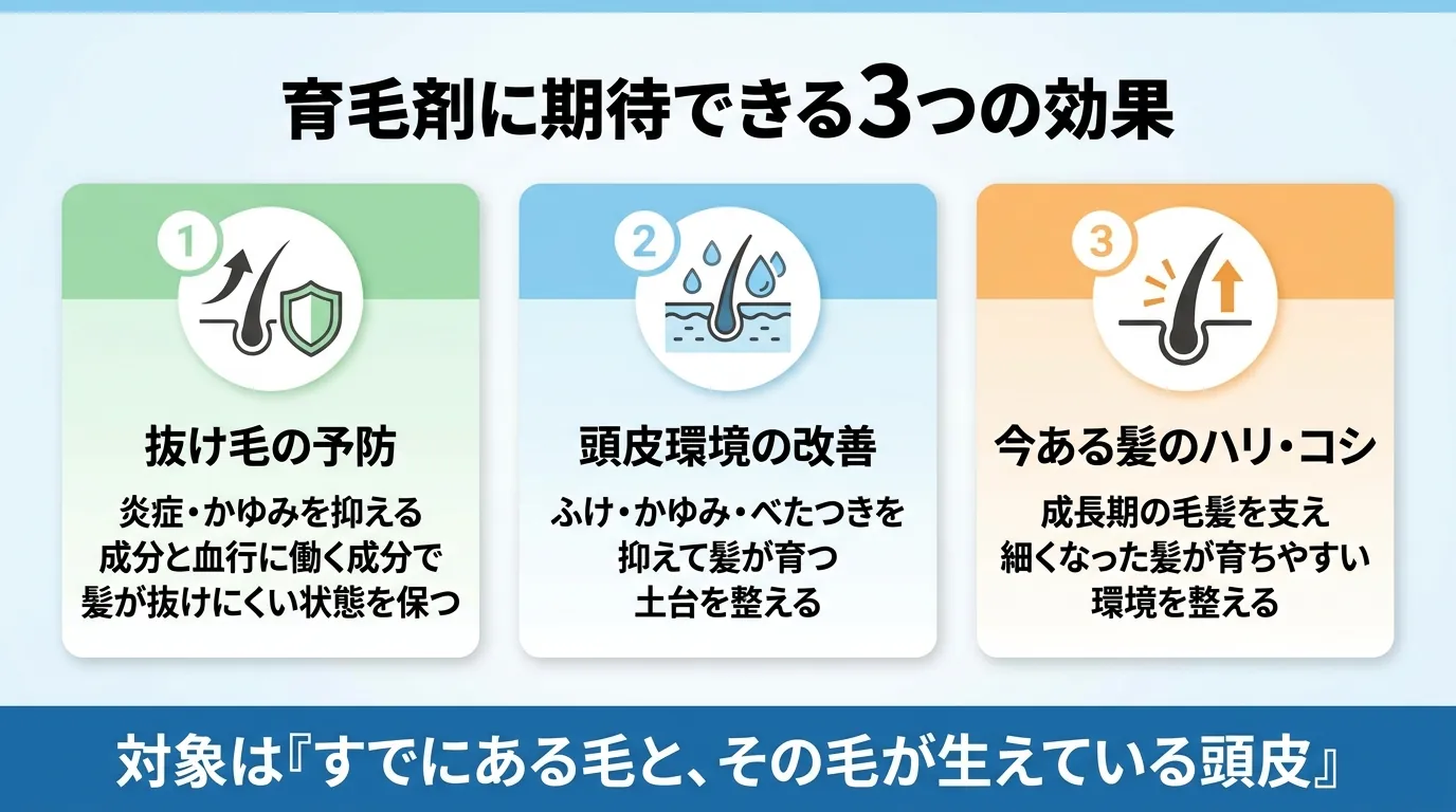 育毛剤に期待できる3つの効果