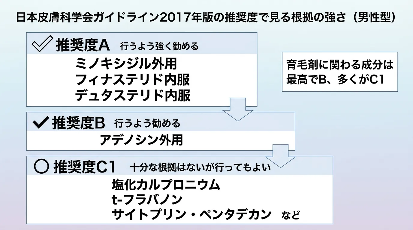 日本皮膚科学会ガイドライン2017年版の推奨度で見る根拠の強さ(男性型)