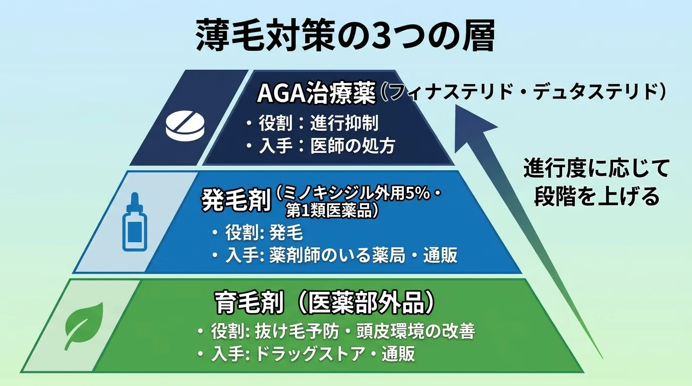 薄毛対策の3つの層