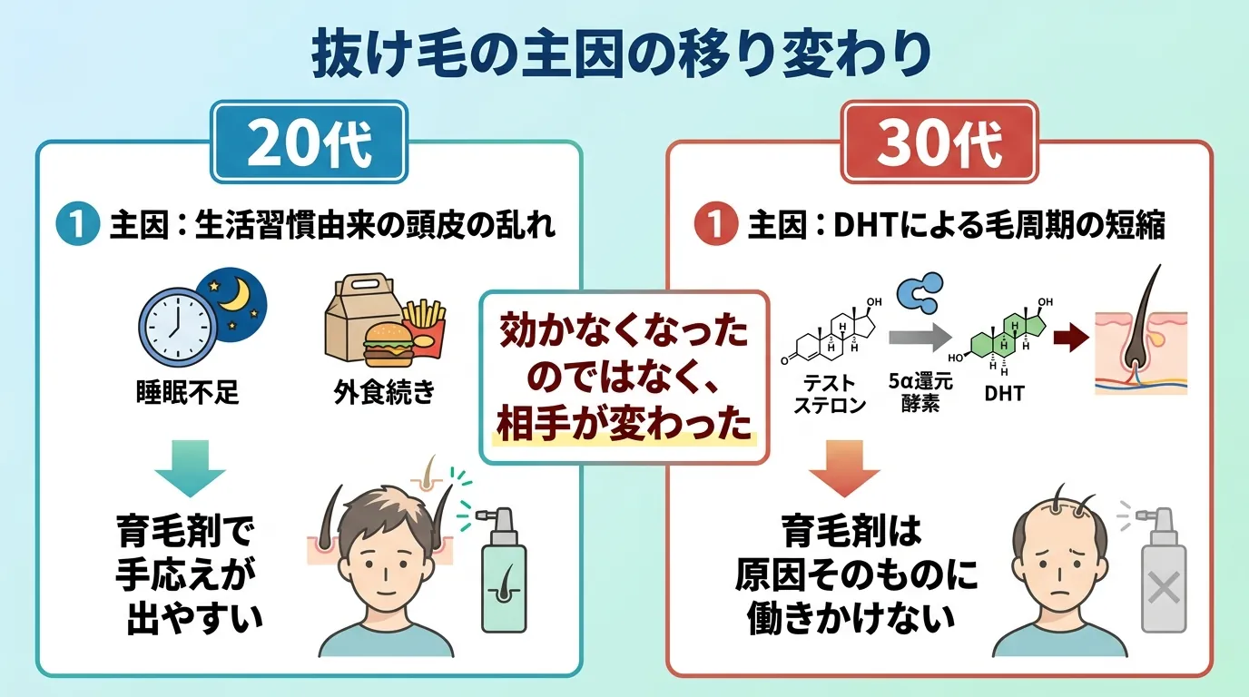 抜け毛の主因の移り変わり