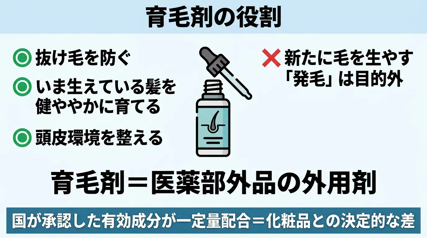 育毛剤の役割