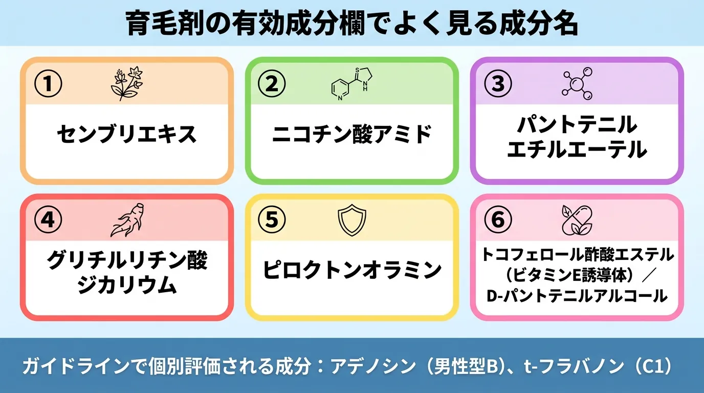 育毛剤の有効成分欄でよく見る成分名