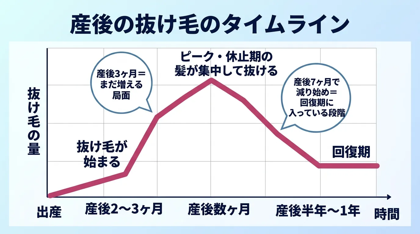 産後の抜け毛のタイムライン