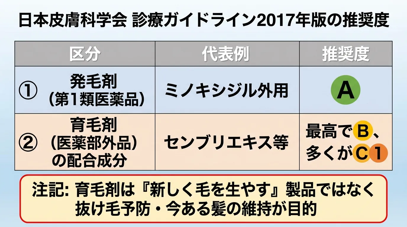 日本皮膚科学会 診療ガイドライン2017年版の推奨度