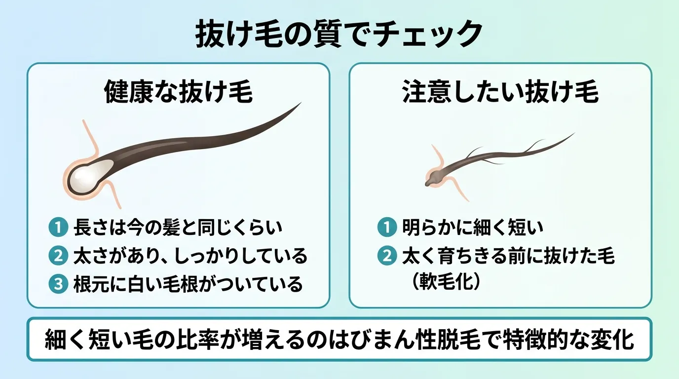 抜け毛の質でチェック