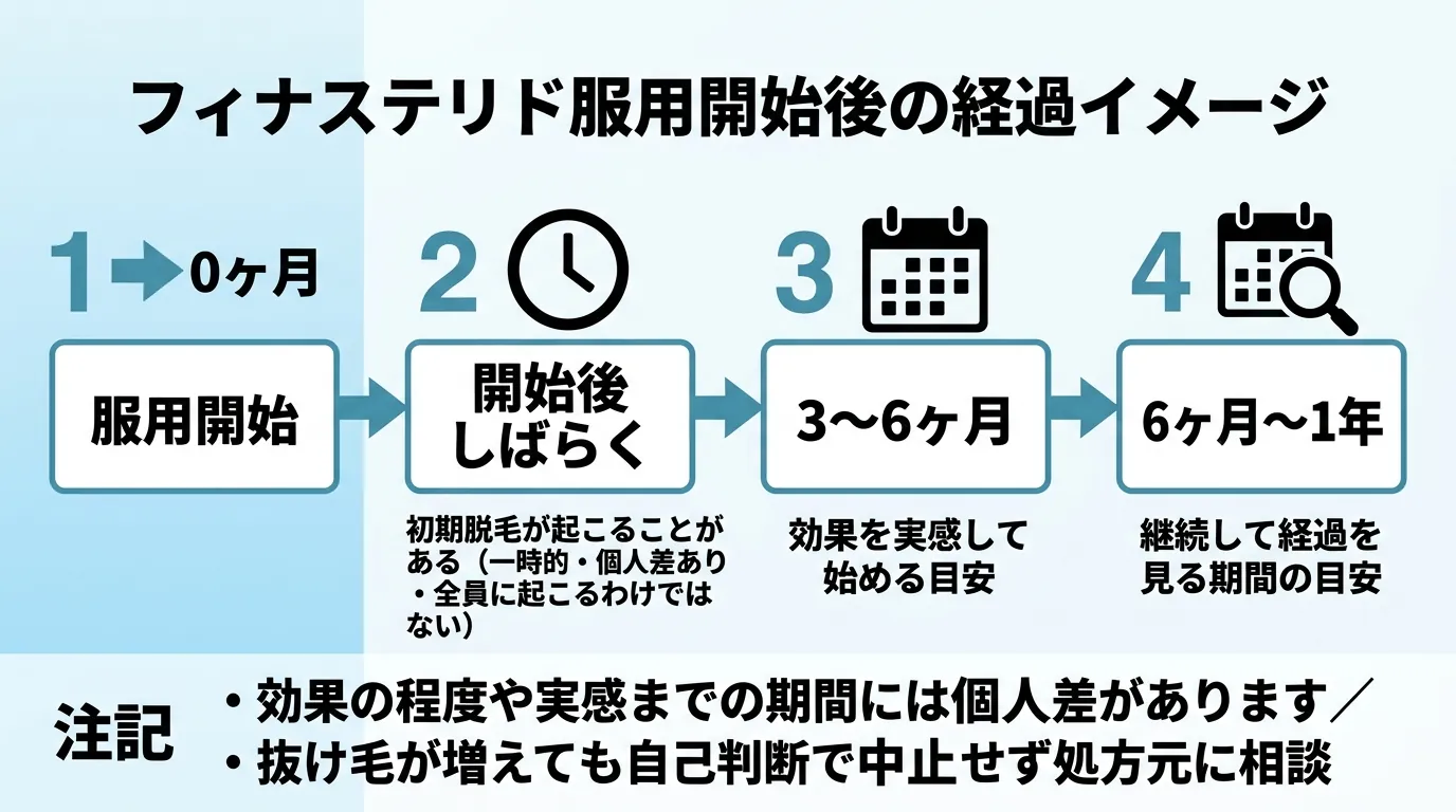 フィナステリド服用開始後の経過イメージ