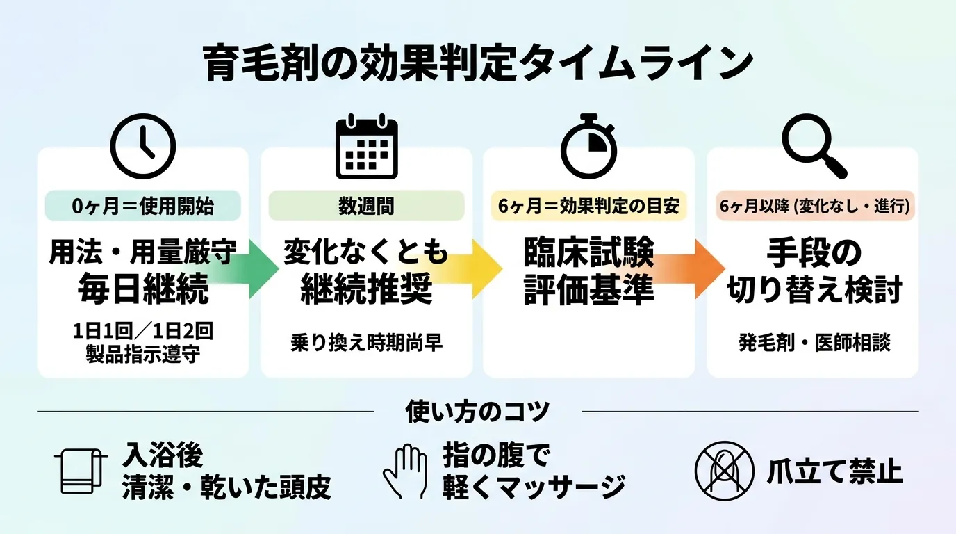 育毛剤の効果判定タイムライン