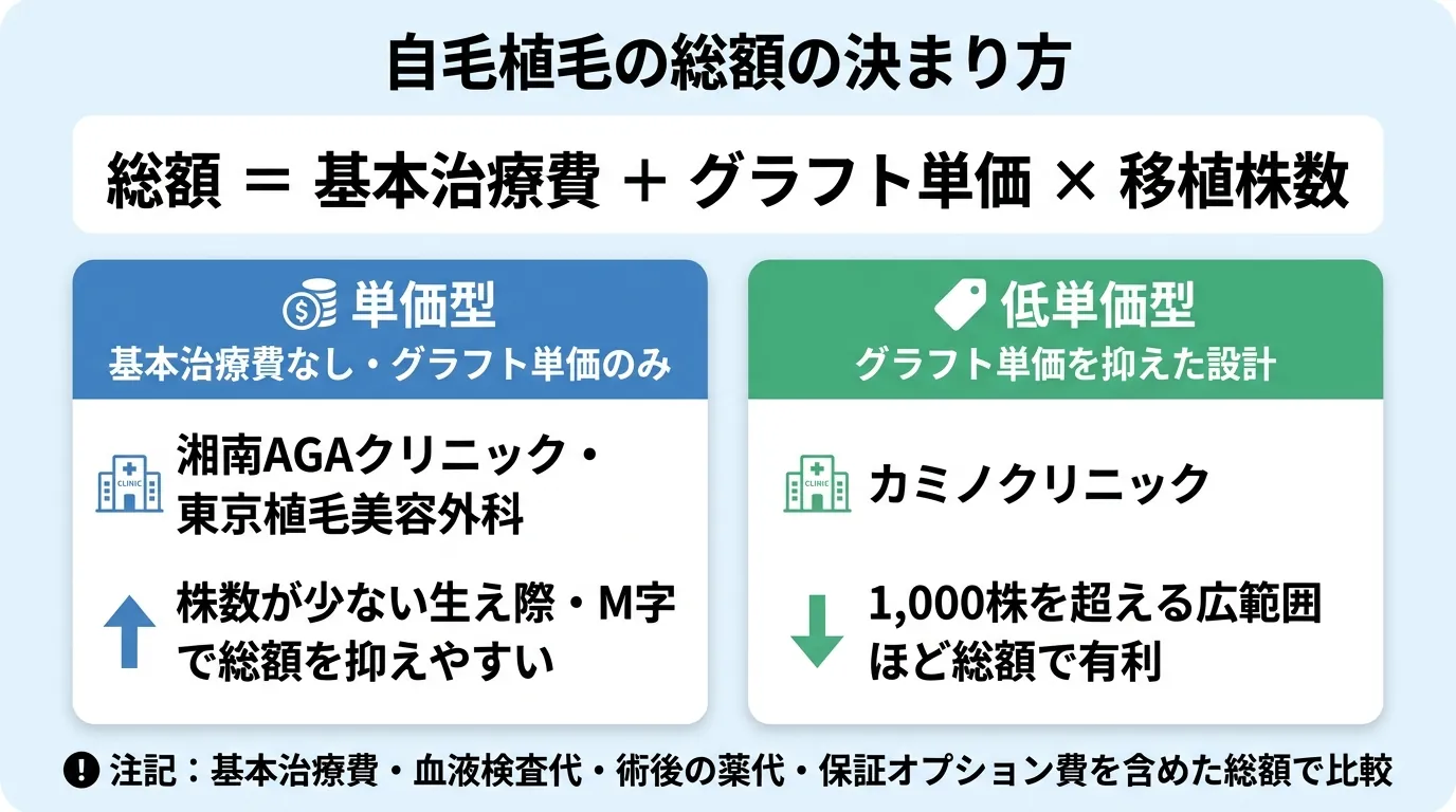 自毛植毛の総額の決まり方