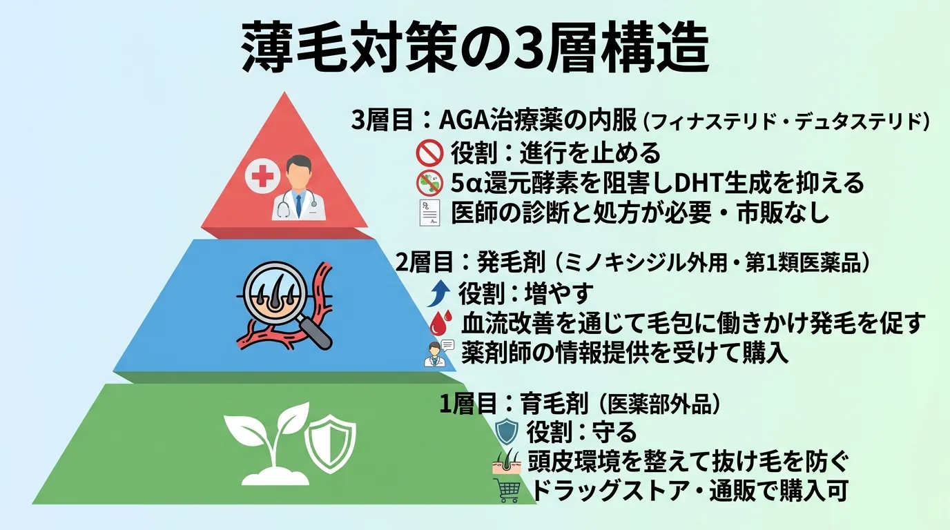薄毛対策の3層構造