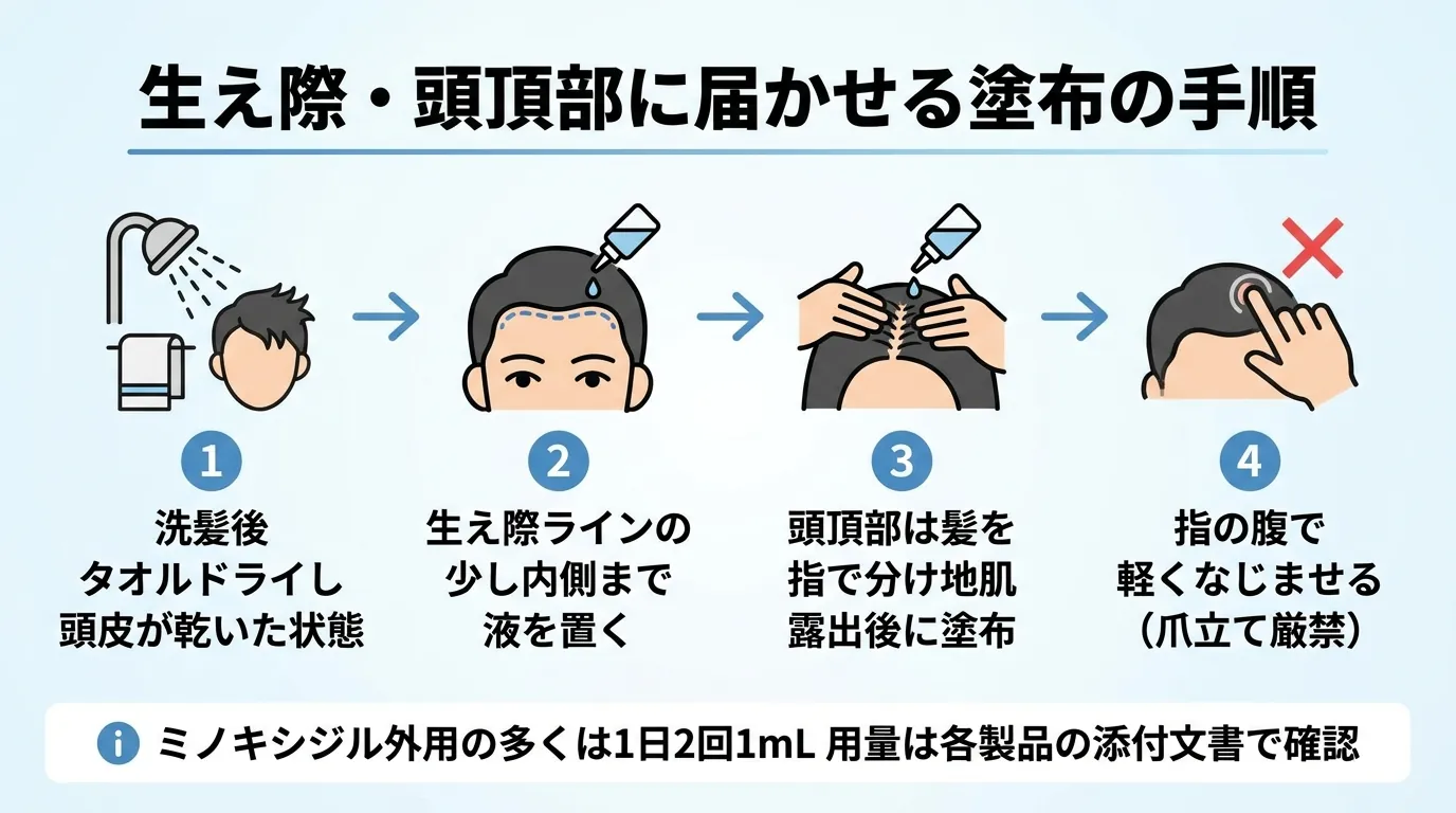 生え際・頭頂部に届かせる塗布の手順