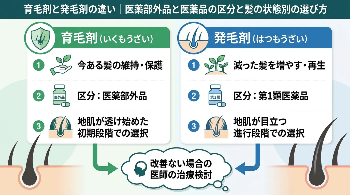 記事の要約