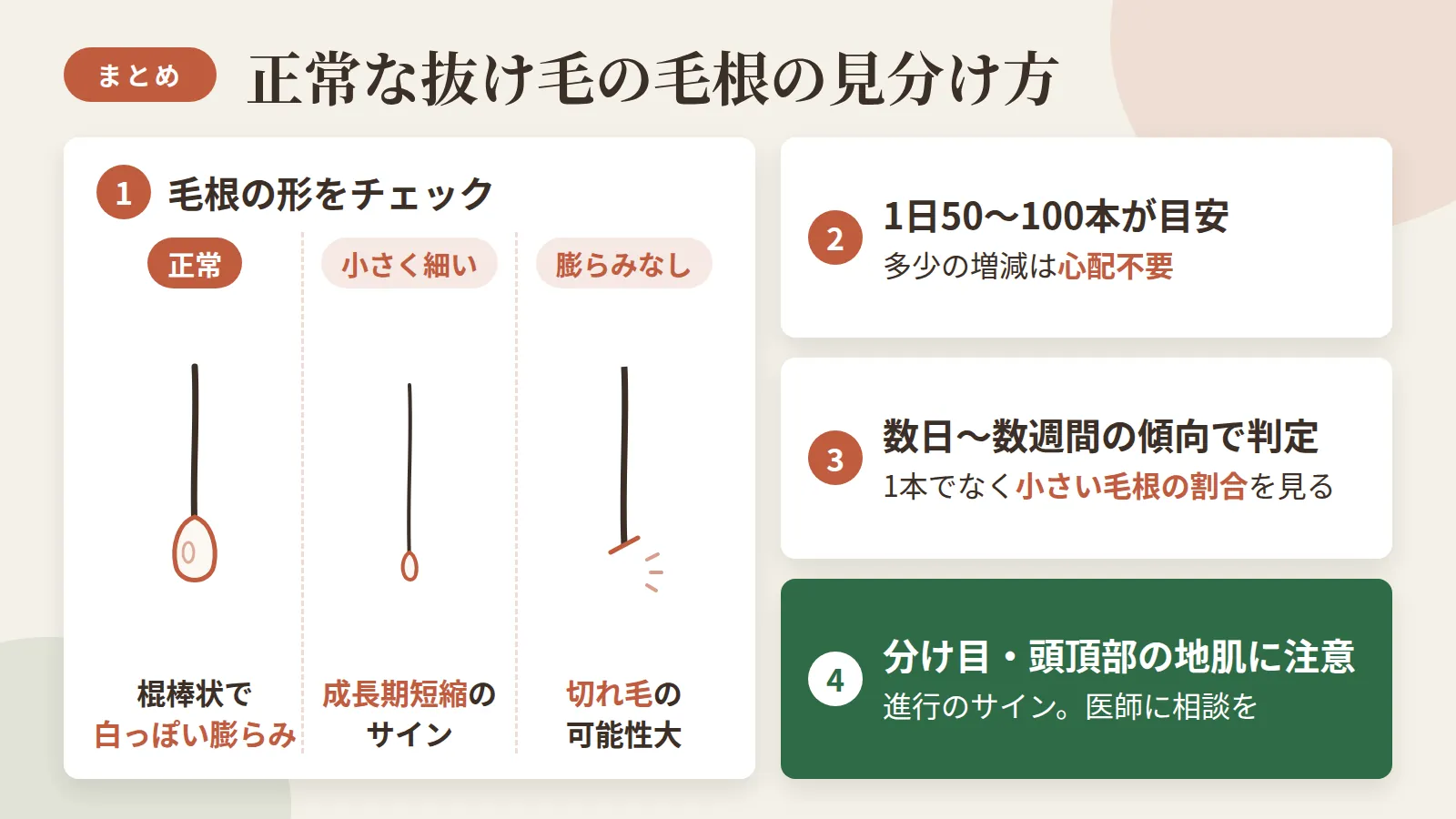 記事の要約: 正常な毛根は棍棒状で白っぽい膨らみ、抜け毛本数は1日50〜100本が目安で多少の増減は心配不要 / 毛根が小さく細いのは成長期が短くなっているサイン、膨らみがなければ切れ毛の可能性が高い / 判定は1本では難しく、数日〜数週間の傾向で小さい毛根の割合が増えているかを見るのが目安 / 分け目や頭頂部の地肌が目立つ変化が伴うなら進行のサイン、個人差があるため医師に相談を