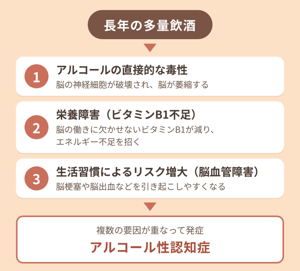 長年の多量飲酒が、アルコールの直接的な毒性・ビタミンB1不足・脳血管障害のリスク増大という3つの経路で脳に影響し、複数の要因が重なってアルコール性認知症を発症することを示した図